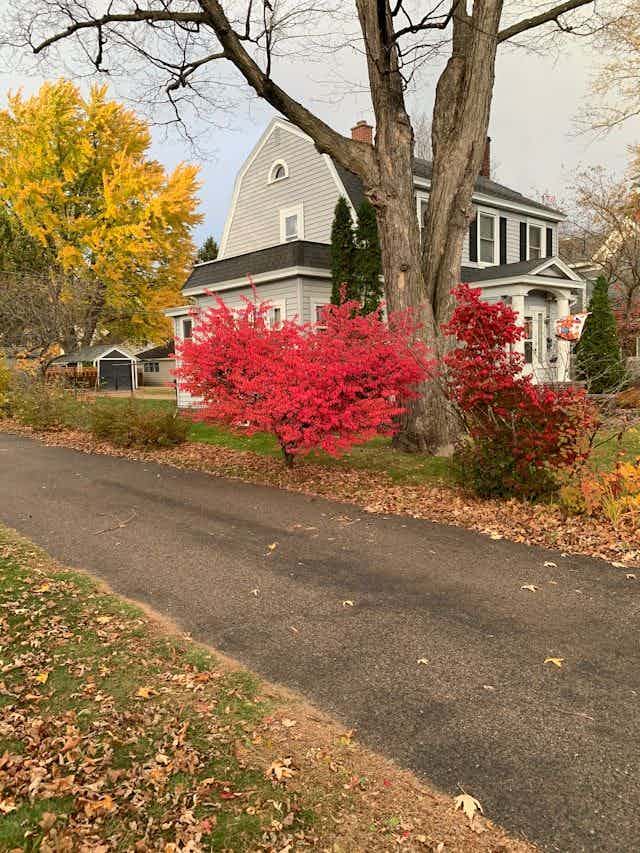 Image of a suburban home in a USA neighborhood